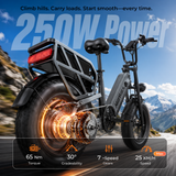 MileLink1